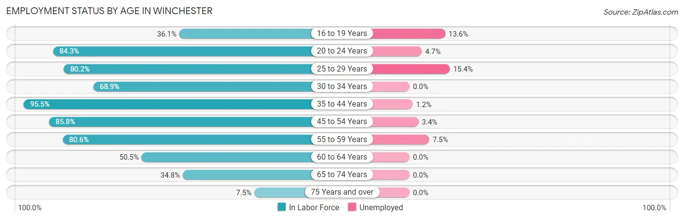 Employment Status by Age in Winchester