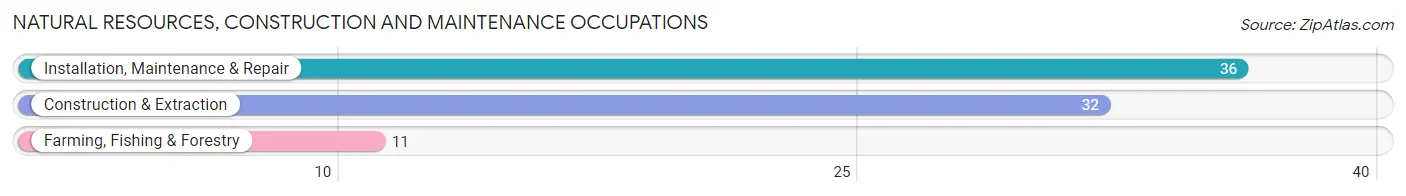 Natural Resources, Construction and Maintenance Occupations in Winchester