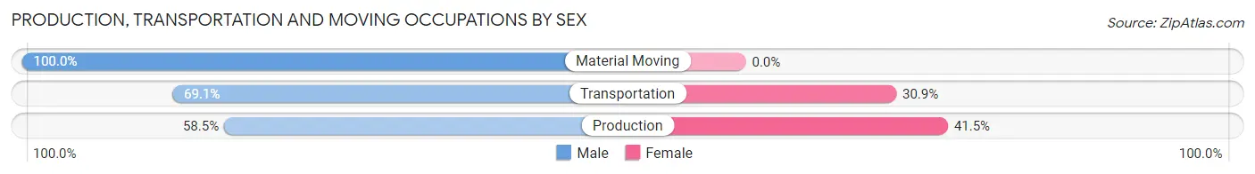 Production, Transportation and Moving Occupations by Sex in Winchester