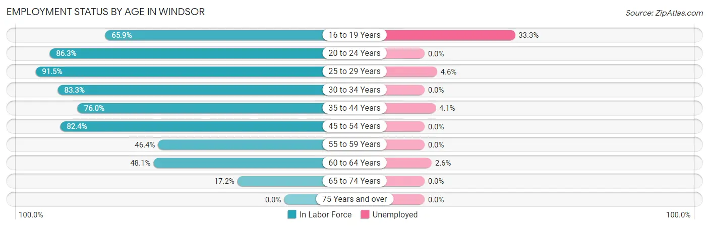 Employment Status by Age in Windsor