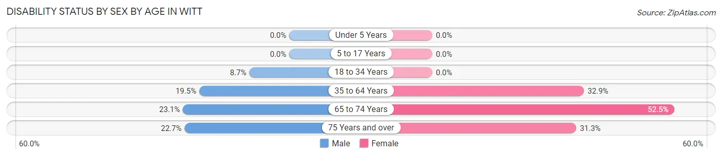 Disability Status by Sex by Age in Witt