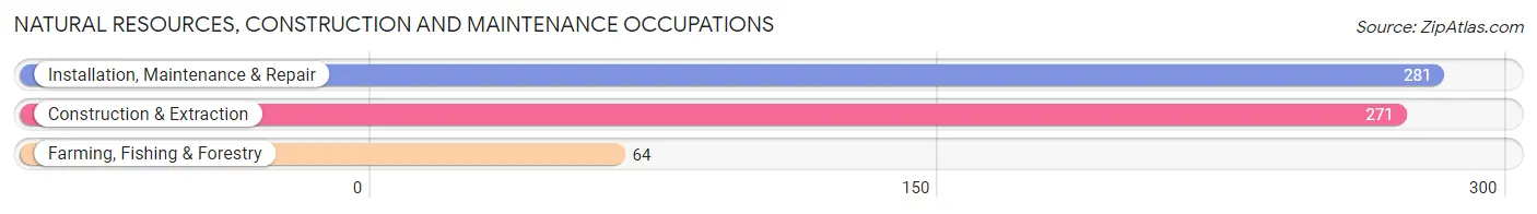 Natural Resources, Construction and Maintenance Occupations in Wood River