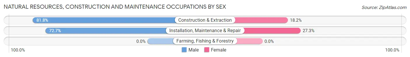 Natural Resources, Construction and Maintenance Occupations by Sex in Woodlawn