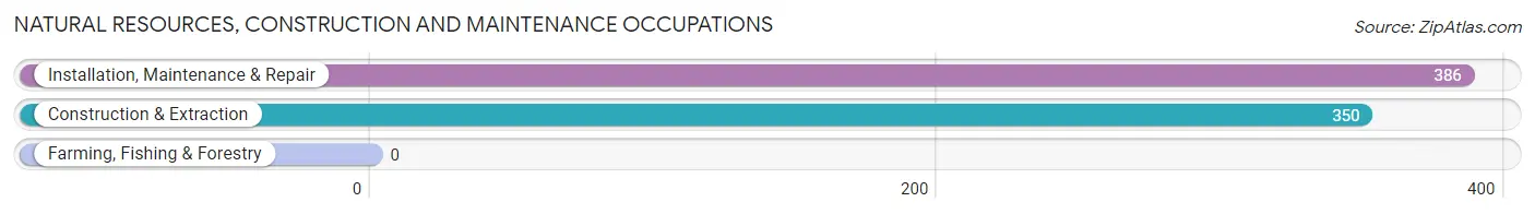 Natural Resources, Construction and Maintenance Occupations in Yorkville