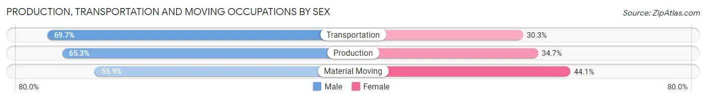 Production, Transportation and Moving Occupations by Sex in Zion