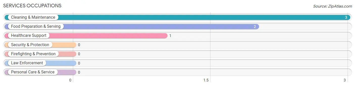 Services Occupations in Alamo