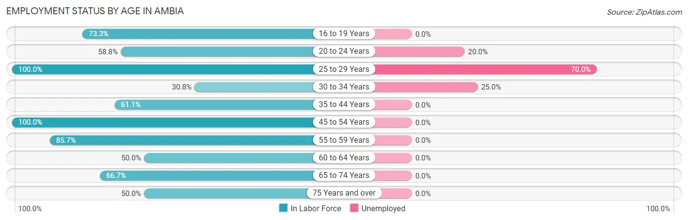 Employment Status by Age in Ambia