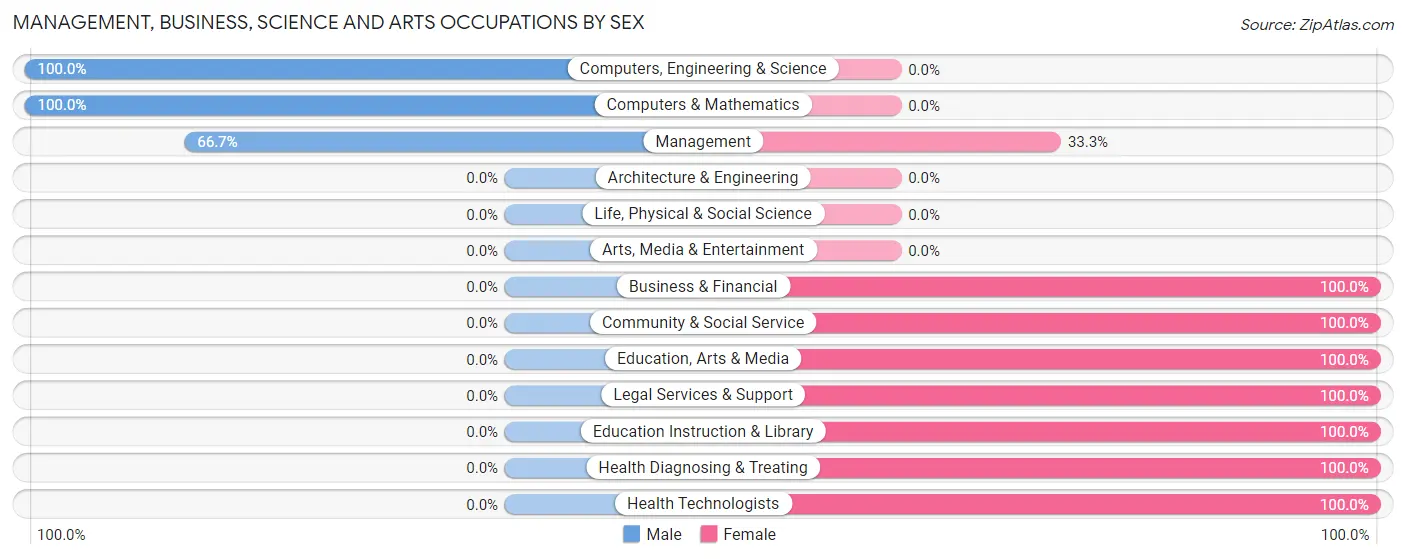Management, Business, Science and Arts Occupations by Sex in Amo