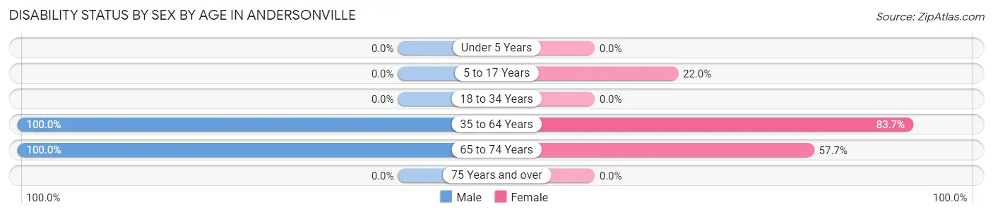 Disability Status by Sex by Age in Andersonville