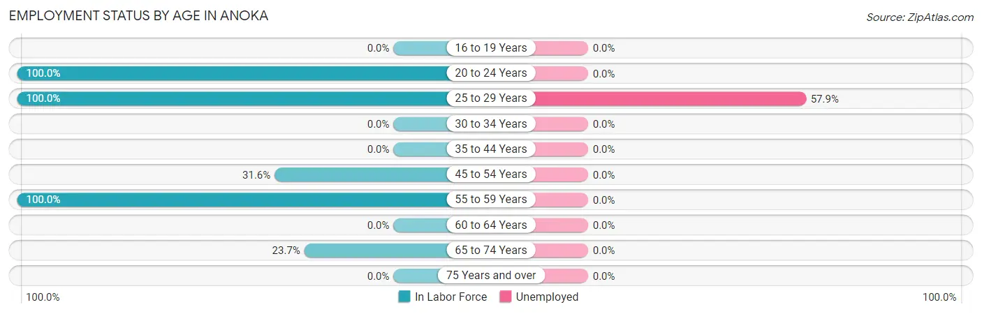 Employment Status by Age in Anoka