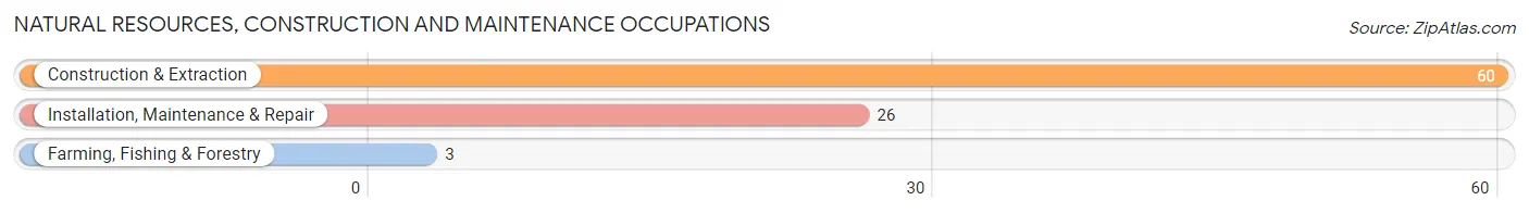 Natural Resources, Construction and Maintenance Occupations in Arcadia