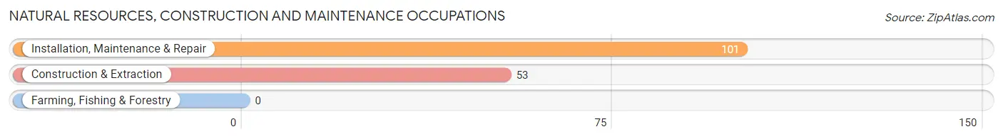 Natural Resources, Construction and Maintenance Occupations in Austin