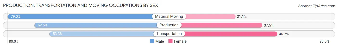 Production, Transportation and Moving Occupations by Sex in Austin