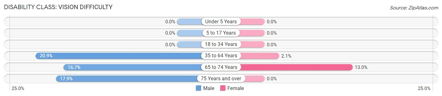 Disability in Austin: <span>Vision Difficulty</span>