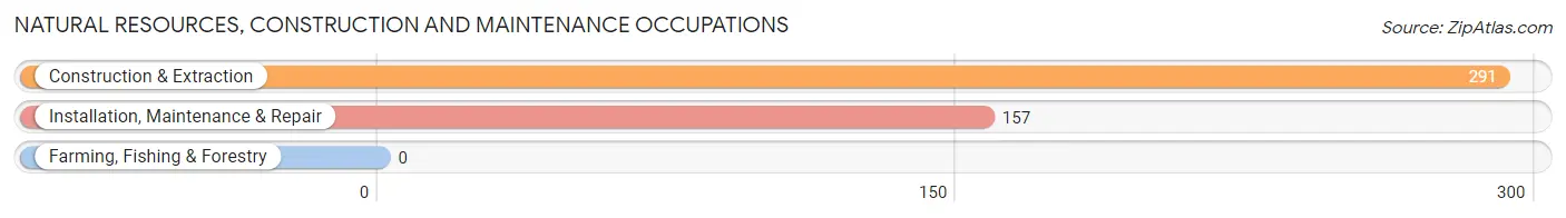 Natural Resources, Construction and Maintenance Occupations in Avon