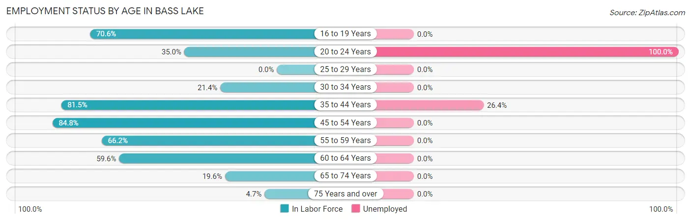Employment Status by Age in Bass Lake