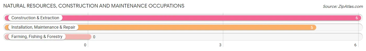 Natural Resources, Construction and Maintenance Occupations in Bass Lake