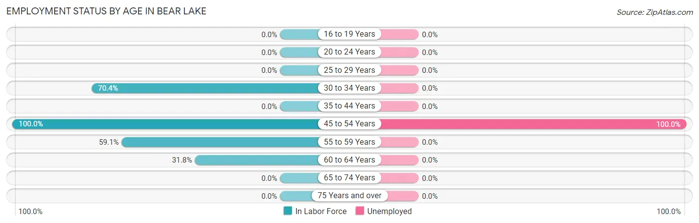 Employment Status by Age in Bear Lake