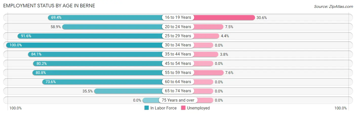 Employment Status by Age in Berne