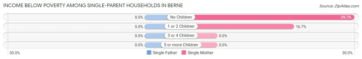 Income Below Poverty Among Single-Parent Households in Berne