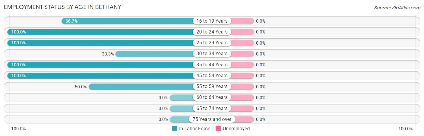 Employment Status by Age in Bethany