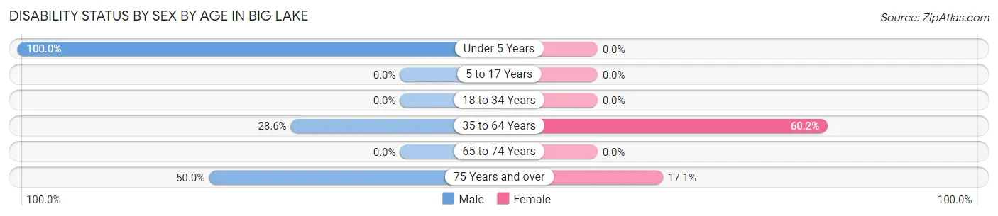 Disability Status by Sex by Age in Big Lake