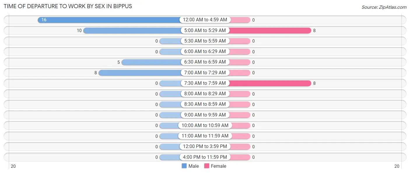 Time of Departure to Work by Sex in Bippus