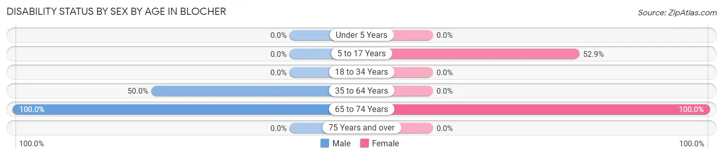 Disability Status by Sex by Age in Blocher