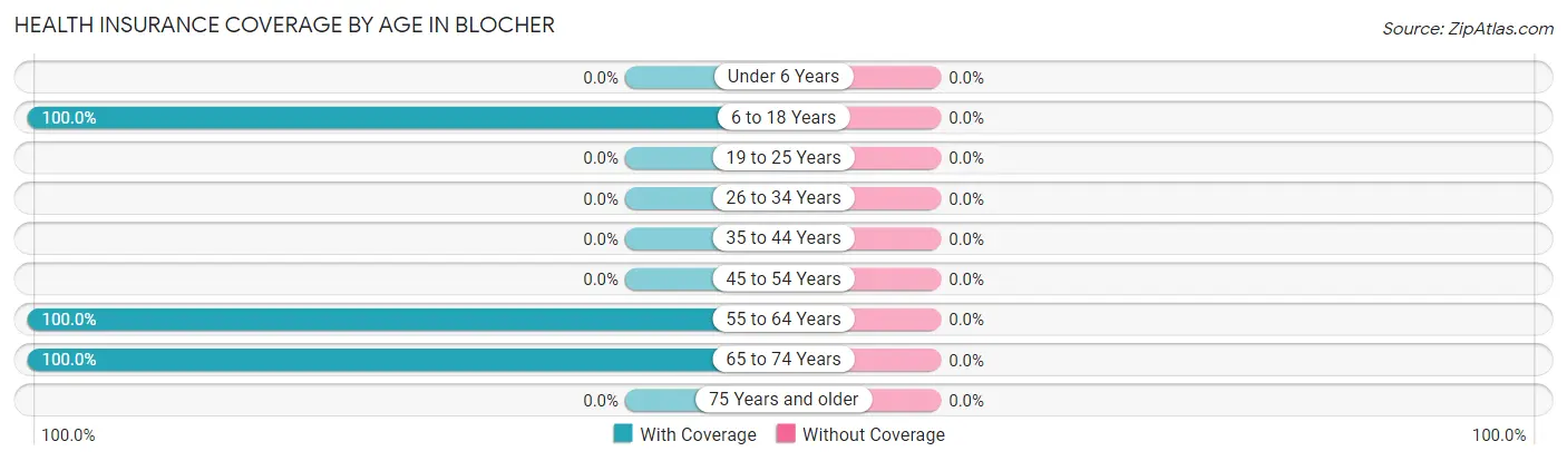 Health Insurance Coverage by Age in Blocher