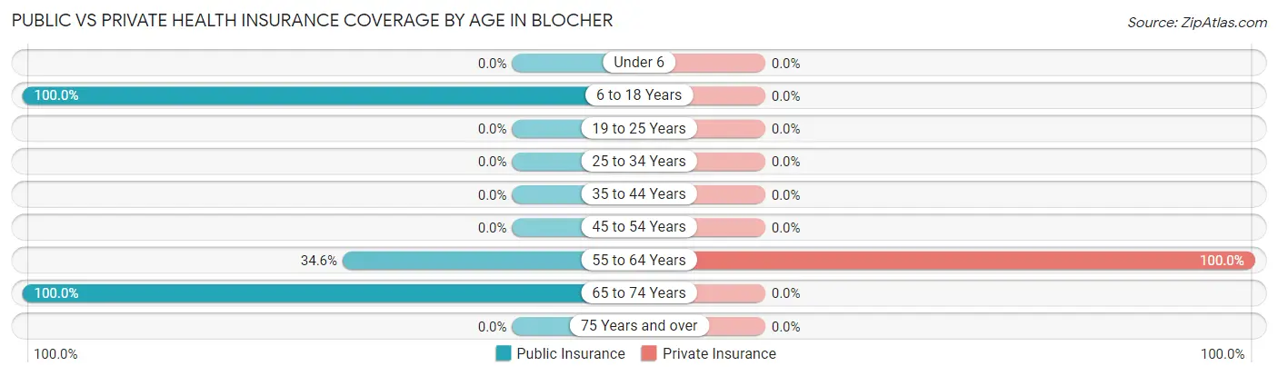 Public vs Private Health Insurance Coverage by Age in Blocher