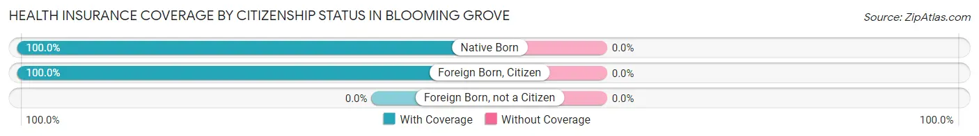 Health Insurance Coverage by Citizenship Status in Blooming Grove