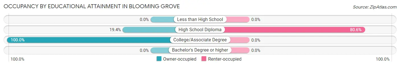 Occupancy by Educational Attainment in Blooming Grove