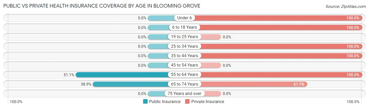 Public vs Private Health Insurance Coverage by Age in Blooming Grove