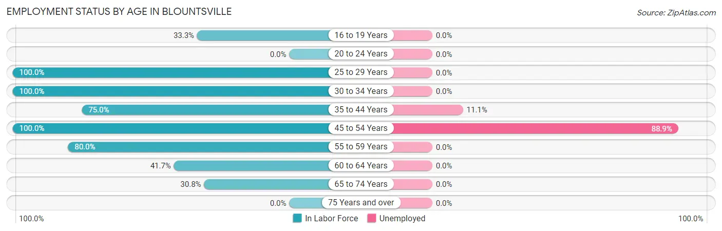 Employment Status by Age in Blountsville