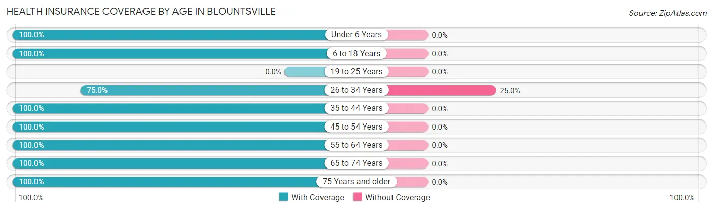 Health Insurance Coverage by Age in Blountsville