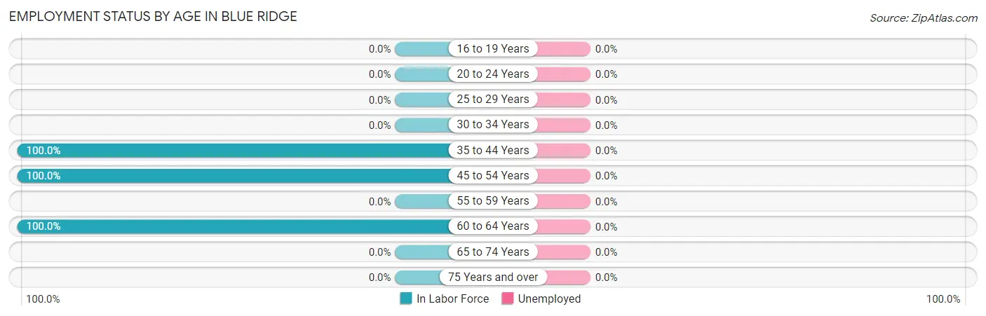 Employment Status by Age in Blue Ridge