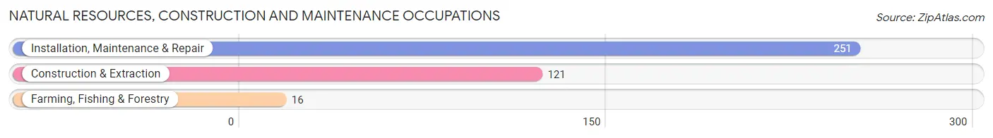 Natural Resources, Construction and Maintenance Occupations in Bluffton