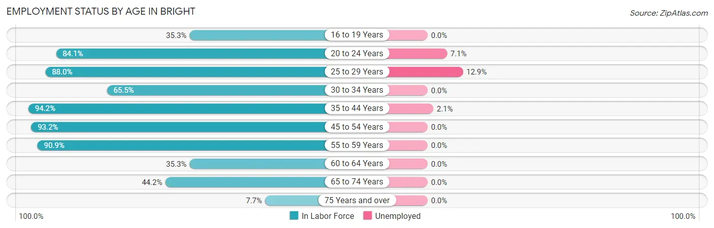 Employment Status by Age in Bright