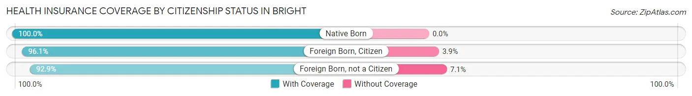 Health Insurance Coverage by Citizenship Status in Bright