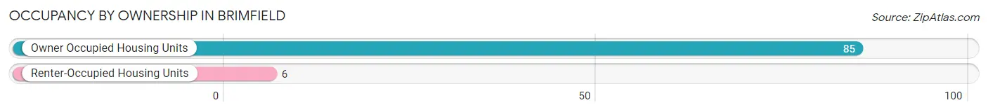 Occupancy by Ownership in Brimfield