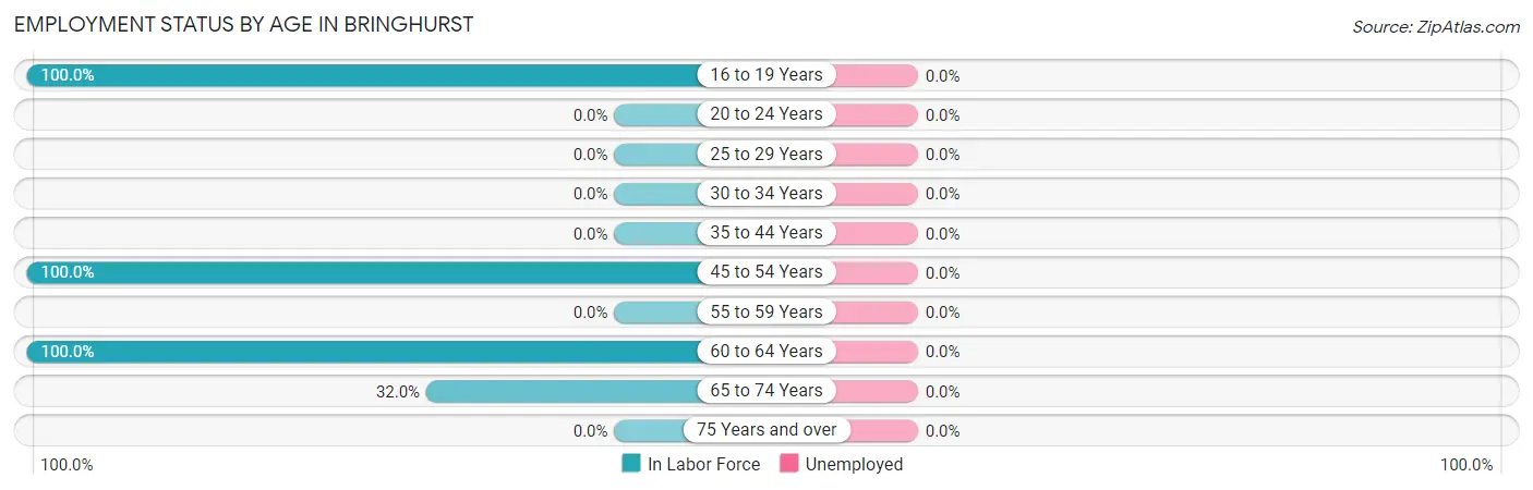 Employment Status by Age in Bringhurst