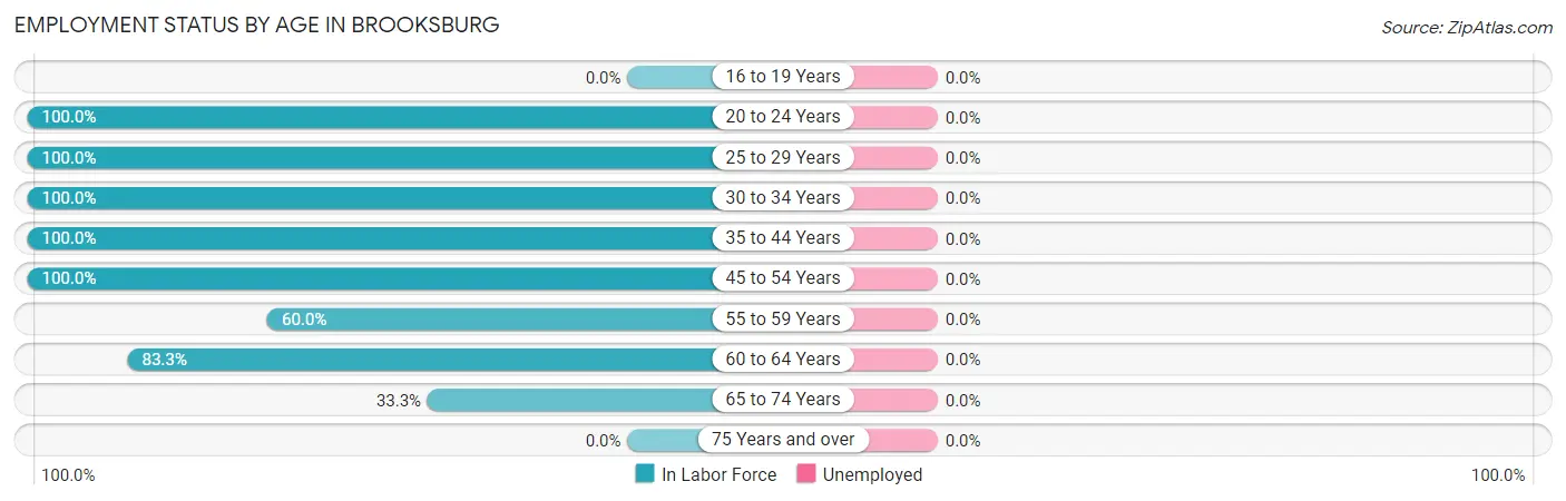 Employment Status by Age in Brooksburg