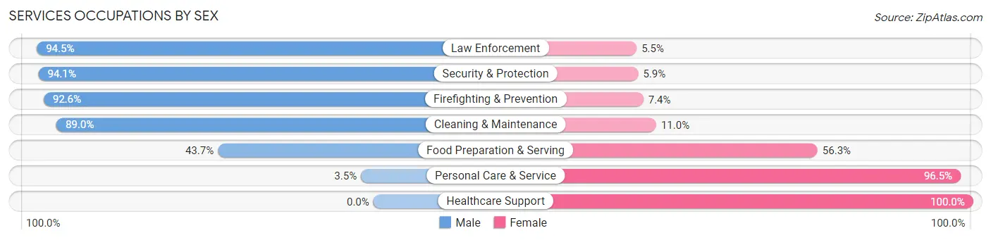 Services Occupations by Sex in Brownsburg
