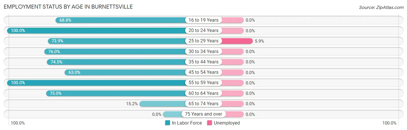 Employment Status by Age in Burnettsville