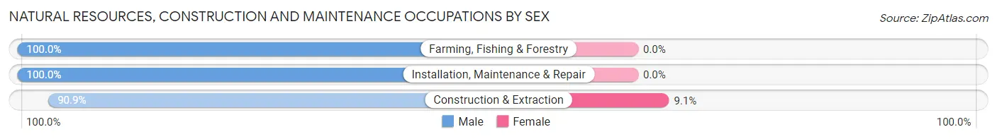 Natural Resources, Construction and Maintenance Occupations by Sex in Burnettsville