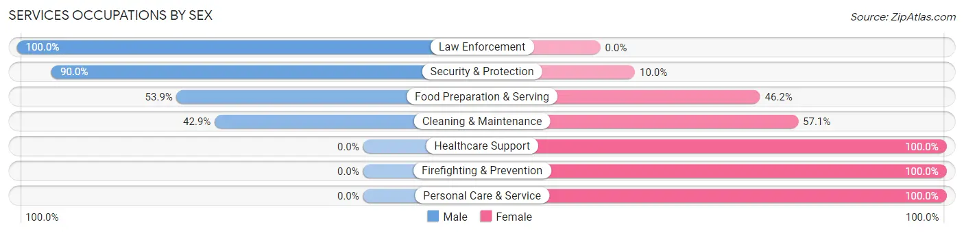 Services Occupations by Sex in Burnettsville