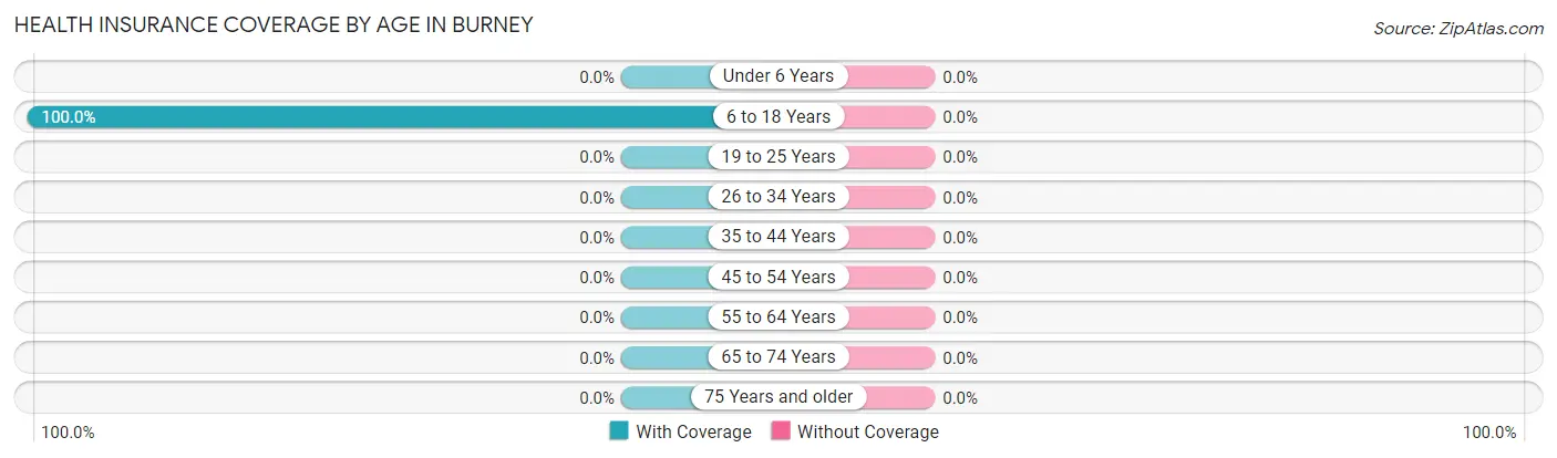 Health Insurance Coverage by Age in Burney