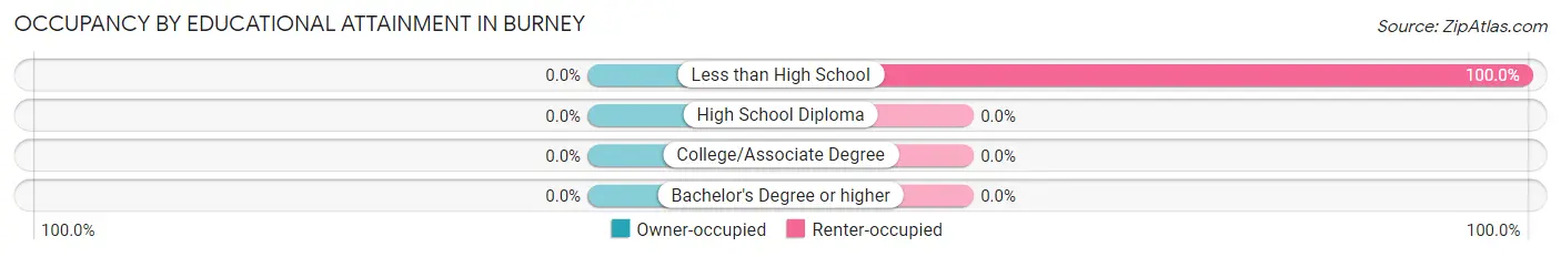 Occupancy by Educational Attainment in Burney