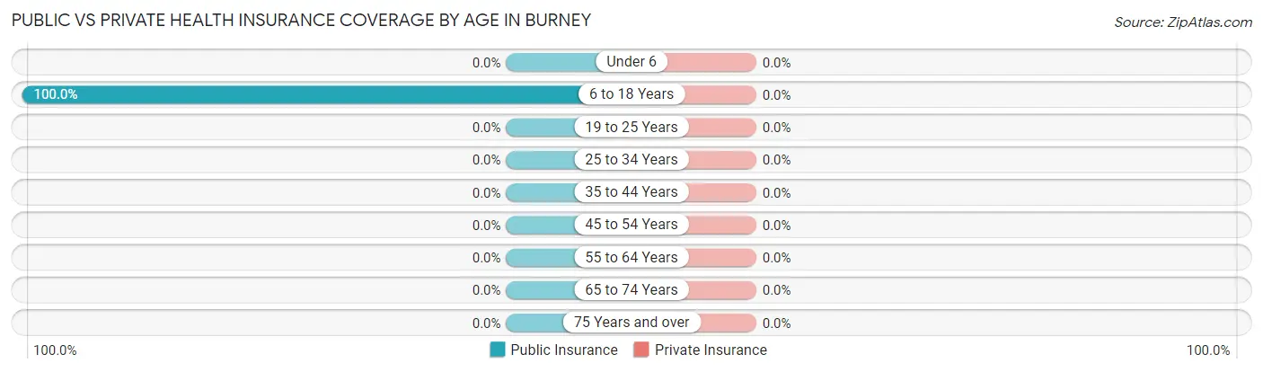 Public vs Private Health Insurance Coverage by Age in Burney