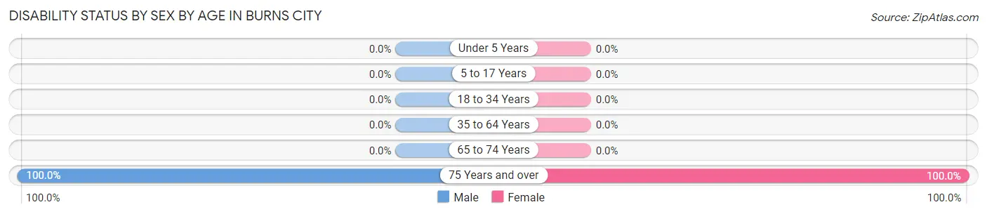 Disability Status by Sex by Age in Burns City